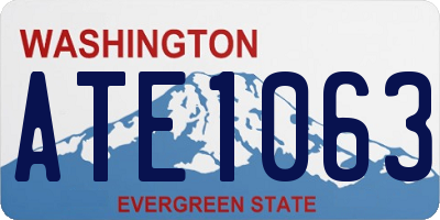 WA license plate ATE1063