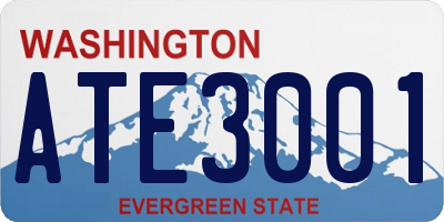 WA license plate ATE3001