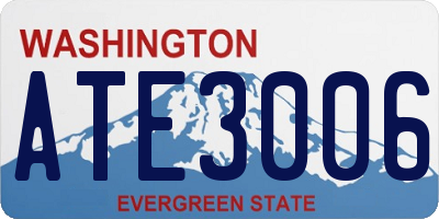 WA license plate ATE3006