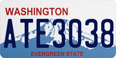 WA license plate ATE3038