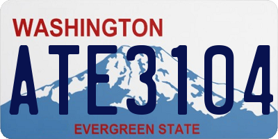 WA license plate ATE3104