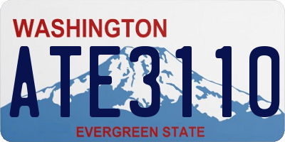 WA license plate ATE3110