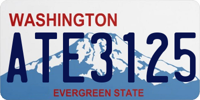 WA license plate ATE3125