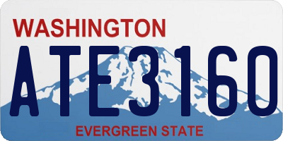 WA license plate ATE3160