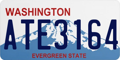 WA license plate ATE3164