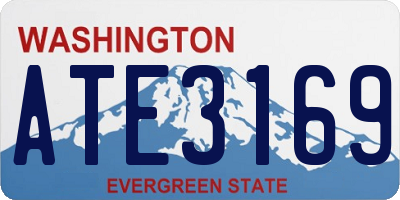 WA license plate ATE3169