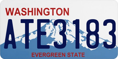 WA license plate ATE3183