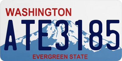 WA license plate ATE3185