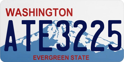 WA license plate ATE3225
