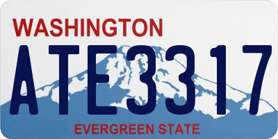 WA license plate ATE3317