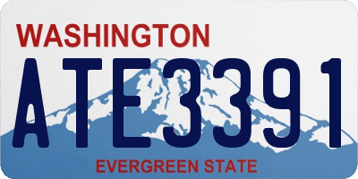 WA license plate ATE3391