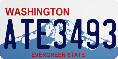 WA license plate ATE3493
