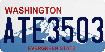 WA license plate ATE3503