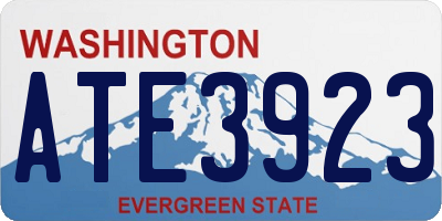 WA license plate ATE3923