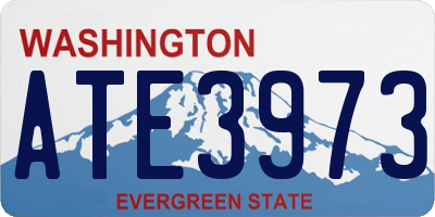WA license plate ATE3973