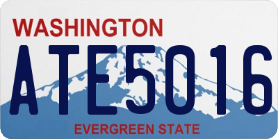 WA license plate ATE5016