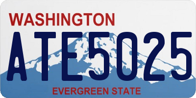 WA license plate ATE5025