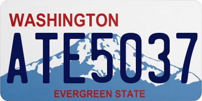 WA license plate ATE5037