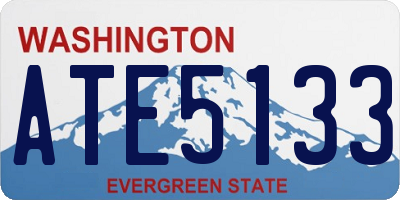 WA license plate ATE5133