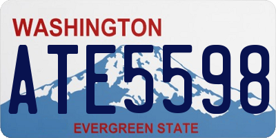 WA license plate ATE5598