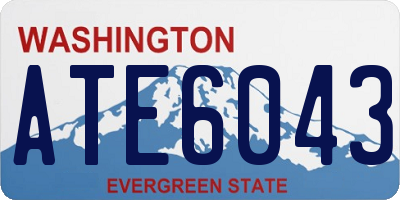 WA license plate ATE6043