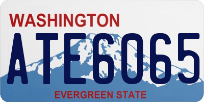 WA license plate ATE6065