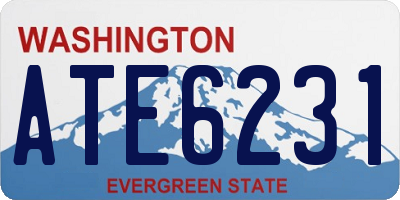 WA license plate ATE6231