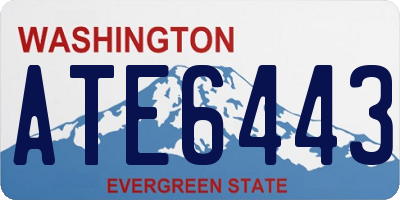 WA license plate ATE6443