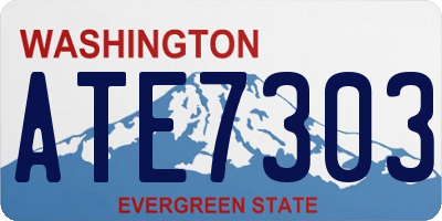 WA license plate ATE7303