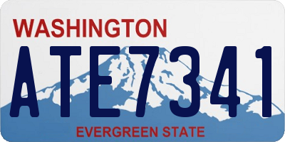 WA license plate ATE7341