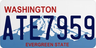 WA license plate ATE7959