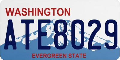 WA license plate ATE8029