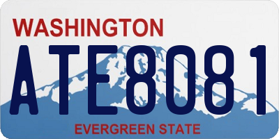 WA license plate ATE8081