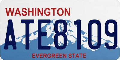 WA license plate ATE8109