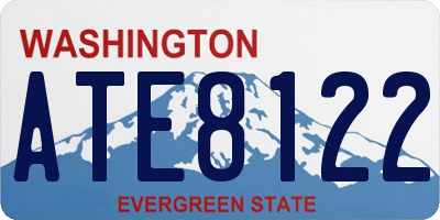 WA license plate ATE8122