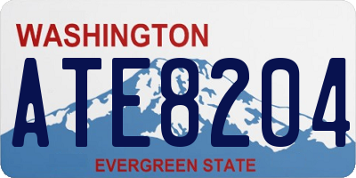 WA license plate ATE8204