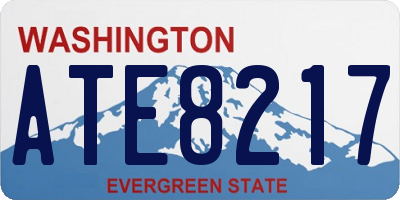 WA license plate ATE8217