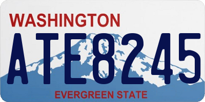 WA license plate ATE8245