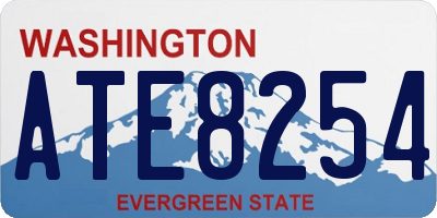 WA license plate ATE8254