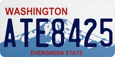 WA license plate ATE8425