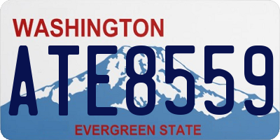 WA license plate ATE8559