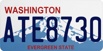 WA license plate ATE8730