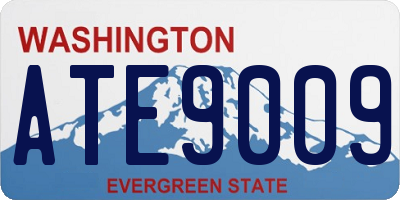 WA license plate ATE9009