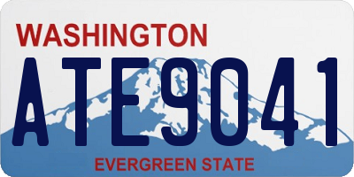 WA license plate ATE9041
