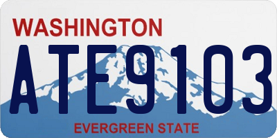 WA license plate ATE9103