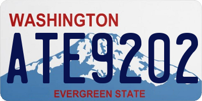 WA license plate ATE9202