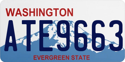 WA license plate ATE9663