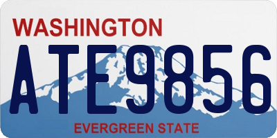 WA license plate ATE9856