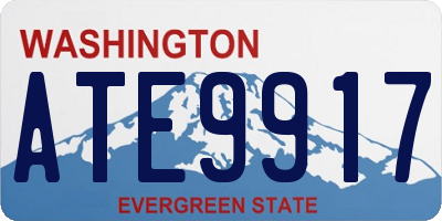 WA license plate ATE9917