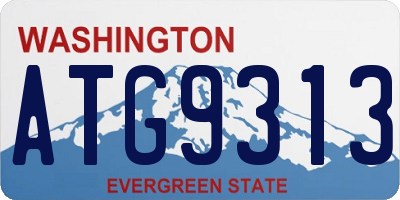 WA license plate ATG9313